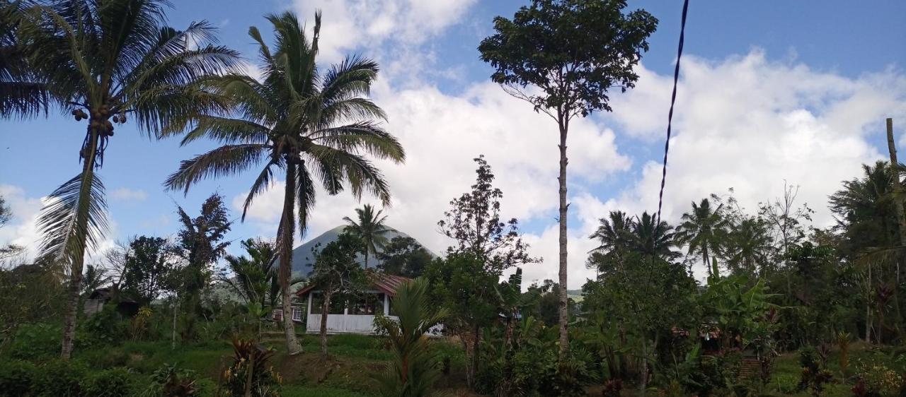 Talaga Tomohon Home Stay And Fishing Pond 외부 사진