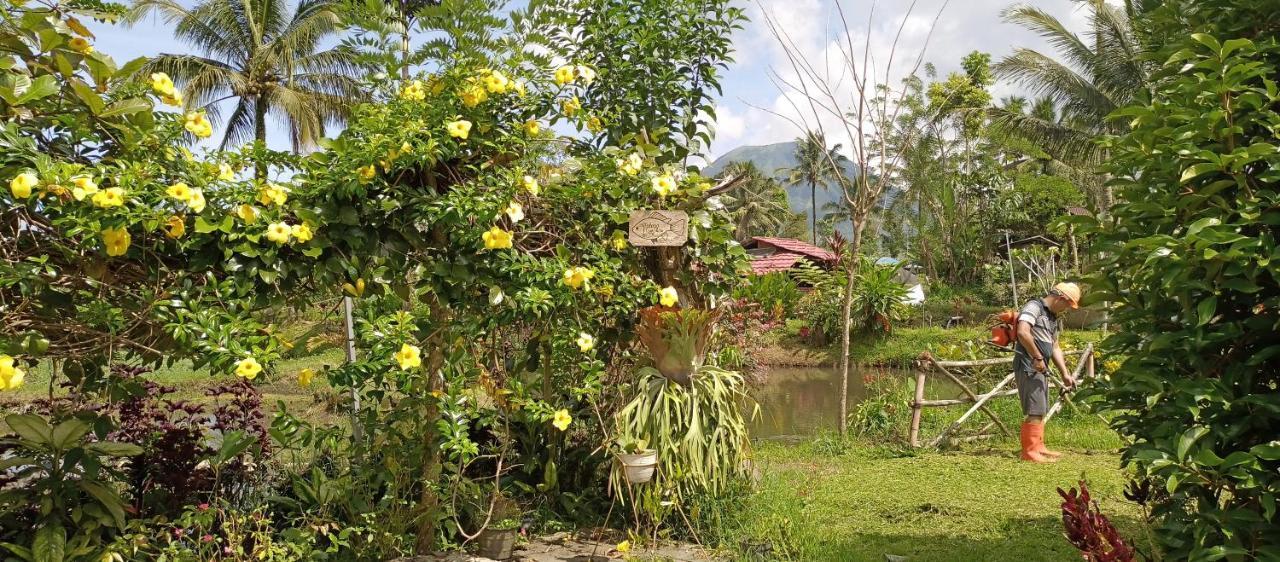 Talaga Tomohon Home Stay And Fishing Pond 외부 사진