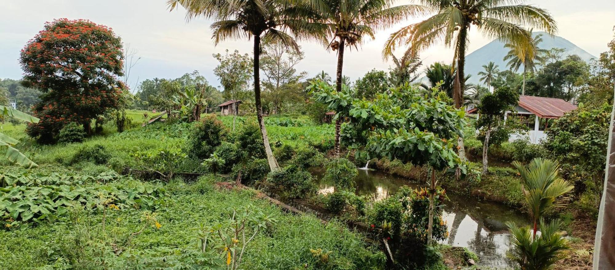 Talaga Tomohon Home Stay And Fishing Pond 외부 사진