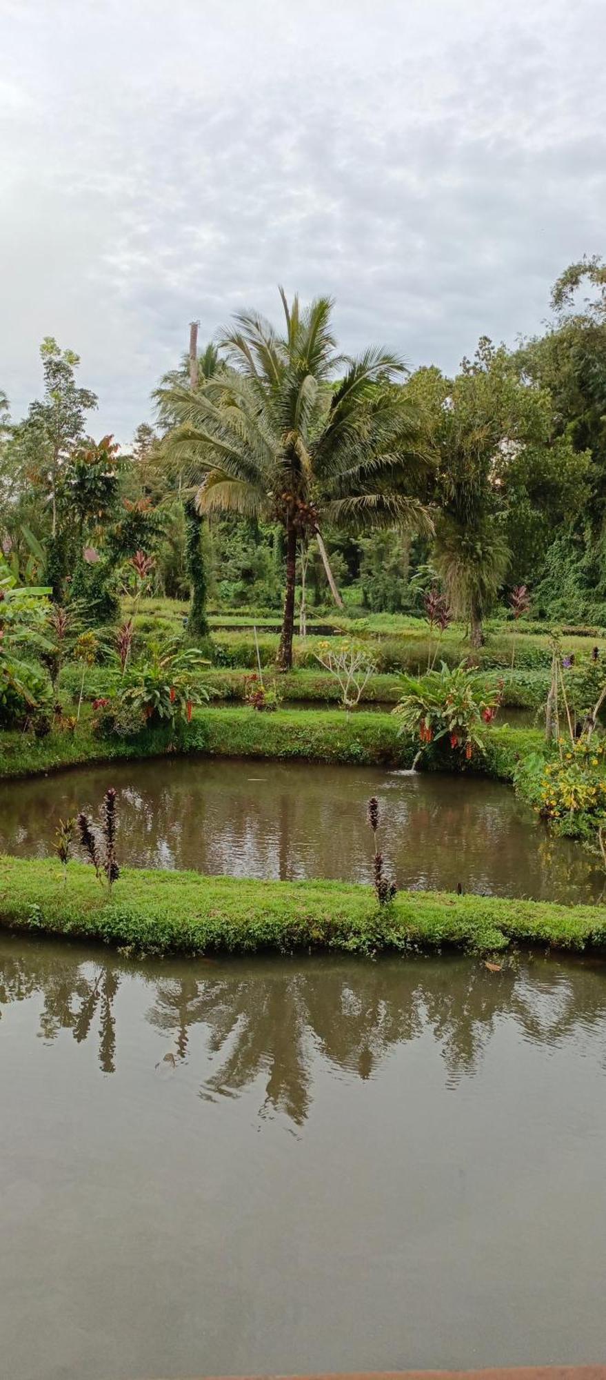 Talaga Tomohon Home Stay And Fishing Pond 외부 사진